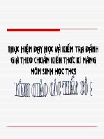 Bồi dưỡng chuẩn KT-KN