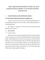THỰC TRẠNG RỦI RO TÍN DỤNGVÀ CÔNG TÁC QUẢN LÍ RỦI RO TÍN DỤNG TRONG CÁC NGÂN HÀNG THƯƠNG MẠI VIỆT NAM