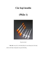 Các loại insulin (Phần 1)