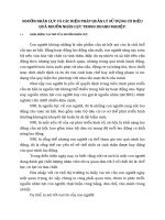 NGUỒN NHÂN LỰC VÀ CÁC BIỆN PHÁP QUẢN LÝ SỬ DỤNG CÓ HIỆU QUẢ NGUỒN NHÂN LỰC TRONG DOANH NGHIỆP