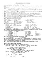 Các dạng Bài tập N-P đầy đủ