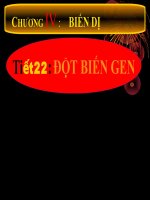 tiết 22:  Đột biến gen