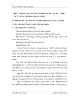 THỰC TRẠNG CHẤT LƯỢNG NGUỒN NHÂN LỰC TẠI CÔNG TY CỔ PHẦN THƯƠNG MẠI XI MĂNG