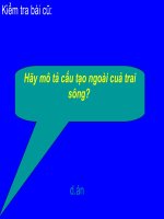 Tiết 20 : Một số thân mền khác