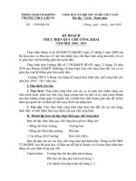 Kế hoạch thực hiện Quy chế công khai nă học 2010 - 2011