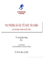 Lịch sử hình thành và cấu trúc của Thị trường và các tổ chức tài chính
