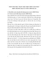 PHÂN TÍCH THỰC TRẠNG THỰC HIỆN CHIẾN LƯỢC PHÁT TRIỂN THƯƠNG MẠI CỦA NƯỚC CHDCND LÀO