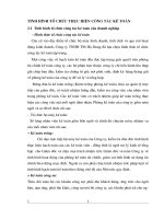 TÌNH HÌNH TỔ CHỨC THỰC HIỆN CÔNG TÁC KẾ TOÁN