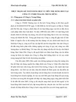 THỰC TRẠNG KẾ TOÁN HÀNG HOÁ VÀ TIÊU THỤ HÀNG HOÁ TẠI CÔNG TY TNHH TM & DL TRUNG DŨNG