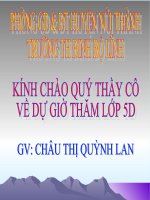 Tập đọc 5: Chuyện một khu vườn nhỏ