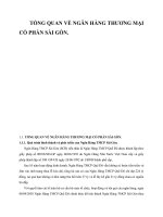 TỔNG QUAN VỀ NGÂN HÀNG THƯƠNG MẠI CỔ PHẦN SÀI GÒN