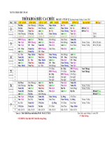 THỜI KHÓA BIỂU TUẦN 12