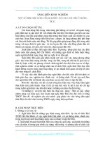 Sáng kiến kinh nghiệm- đội 09-10