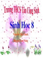 Bai 24. Tiêu hóa và các cơ quan tiêu hóa