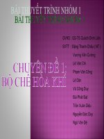 Bộ chế hòa khí 