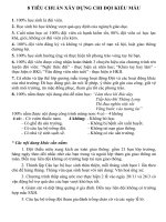 Tiêu chuẩn chi đội kiểu mẫu