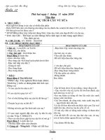 GA 2- T12(Cả ngày-CKT+KNS+BVMT)