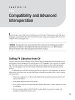 Compatibility and Advanced Interoperation