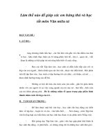 Làm thế nào để giúp các em hứng thú và học tốt môn Văn miêu tả