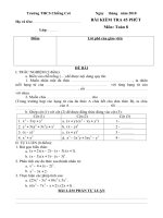 Bài kiểm tra 45'''' Đại 8_2010