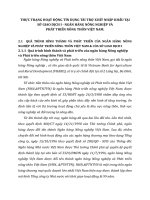 THỰC TRẠNG HOẠT ĐỘNG TÍN DỤNG TÀI TRỢ XUẤT NHẬP KHẨU TẠI SỞ GIAO DỊCH I