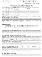 Mau bao cao thang cua to CM