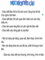 Phát triển nhận thức