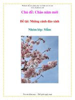 Đề tài: Những cánh đào xinh - Nhóm lớp: Mầm