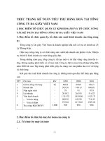 THỰC TRẠNG KẾ TOÁN TIÊU THỤ HÀNG HOÁ TẠI TỔNG CÔNG TY DA GIẦY VIỆT NAM