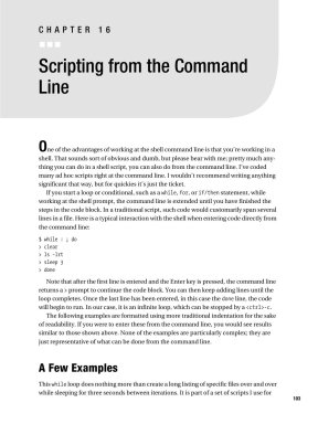 Scripting from the Command Line