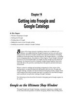 Getting into Froogle and Google Catalogs