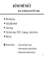 Bài giảng Kênh nhĩ thất