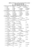 ĐỀ LUYỆN THI HỌC SINH GIỎI SỐ 1