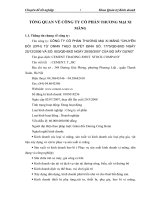 TỔNG QUAN VỀ CÔNG TY CỔ PHẦN THƯƠNG MẠI XI MĂNG