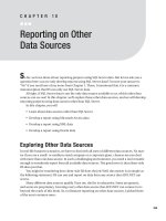 Reporting on Other Data Sources.