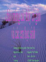 Cô bé bán diem - Nguyễn Thị Thiềm