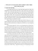 TỔNG QUAN VỀ NGÂN HÀNG NÔNG NGHIỆP VÀ PHÁT TRIỂN NÔNG THÔN HÀ TĨNH