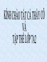 Sau benh hai cay trong