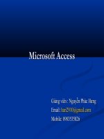 Microsoft access 