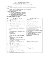 Giáo án Mỹ thuật 3 HK1