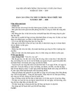 Báo cáo công tác đội