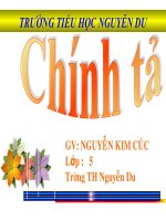 chính tả- tuần 14- CHUỖI NGỌC LAM