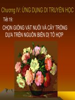 Tiết 19: Chọn giống vật nuôi và cây trồng dựa trên nguồn biến dị tổ hợp