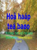 sinh 10 hô hấp tế bào