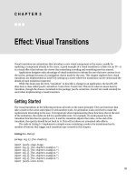 Effect - Visual Transitions
