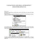 Cài đặt Plug-Ins Final After Efftect