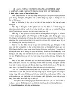 Lý Luận  chung về phương pháp d•y số thời  gian