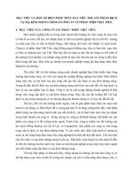 MỤC TIÊU VÀ MỘT SỐ BIỆN PHÁP THÚC ĐẨY TIÊU THỤ SẢN PHẨM DỊCH VỤ MẠ KẼM NHÚNG NÓNG Ở CÔNG TY CỔ PHẦN THÉP VIỆT TIẾN