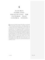 Nature''s templates - identifying the patterns that control events