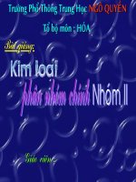 KL phân nhóm chính nhóm II